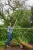 5f15025634bd4416fa234210cb1e5cb9.webp