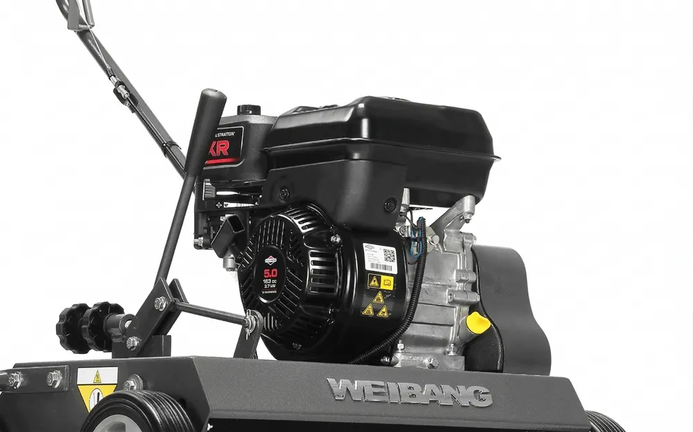 Silnik Briggs&Stratton w wertykulatorze Weibang WB486CRB